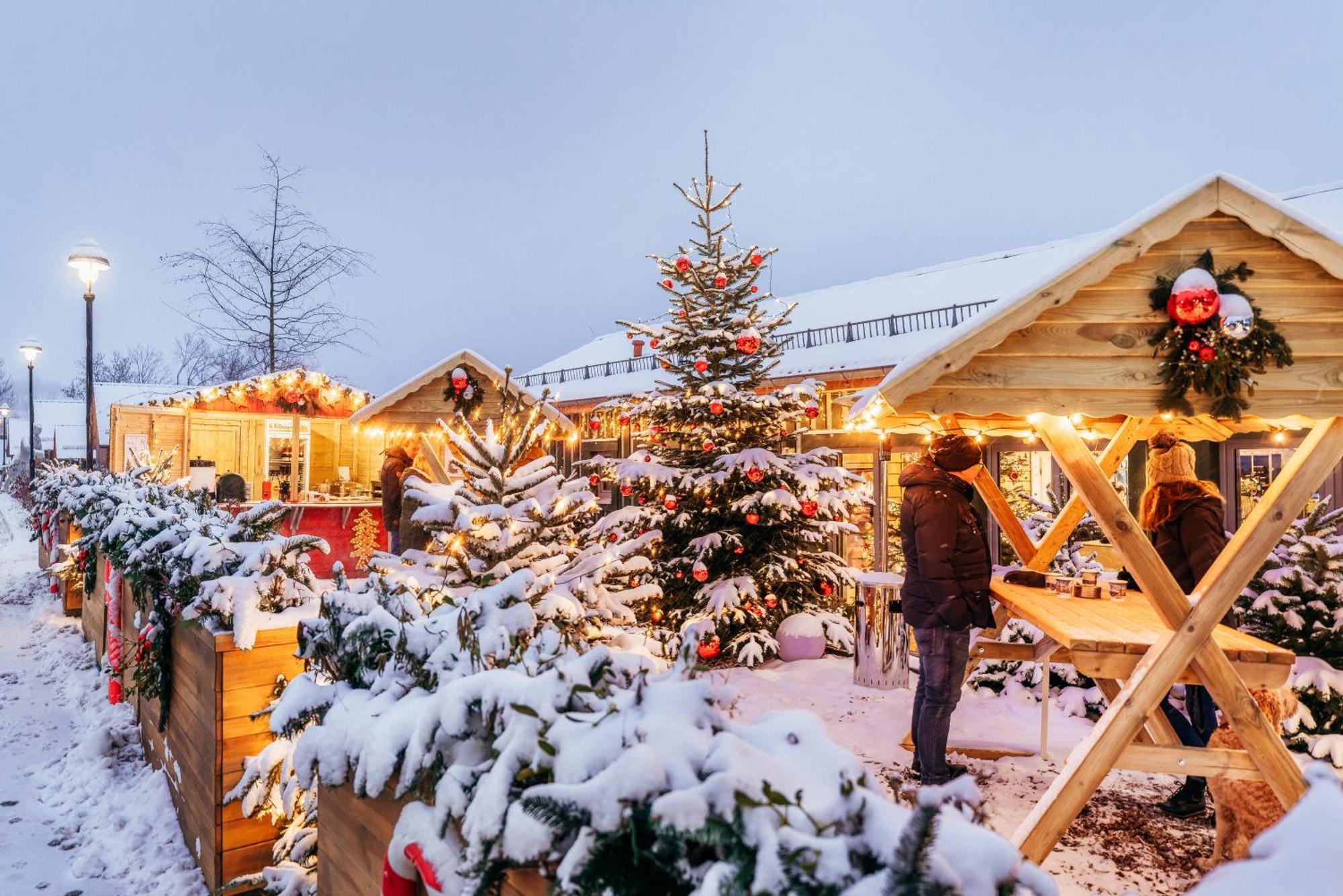 Das Schierke Harzresort Zewnętrze zdjęcie